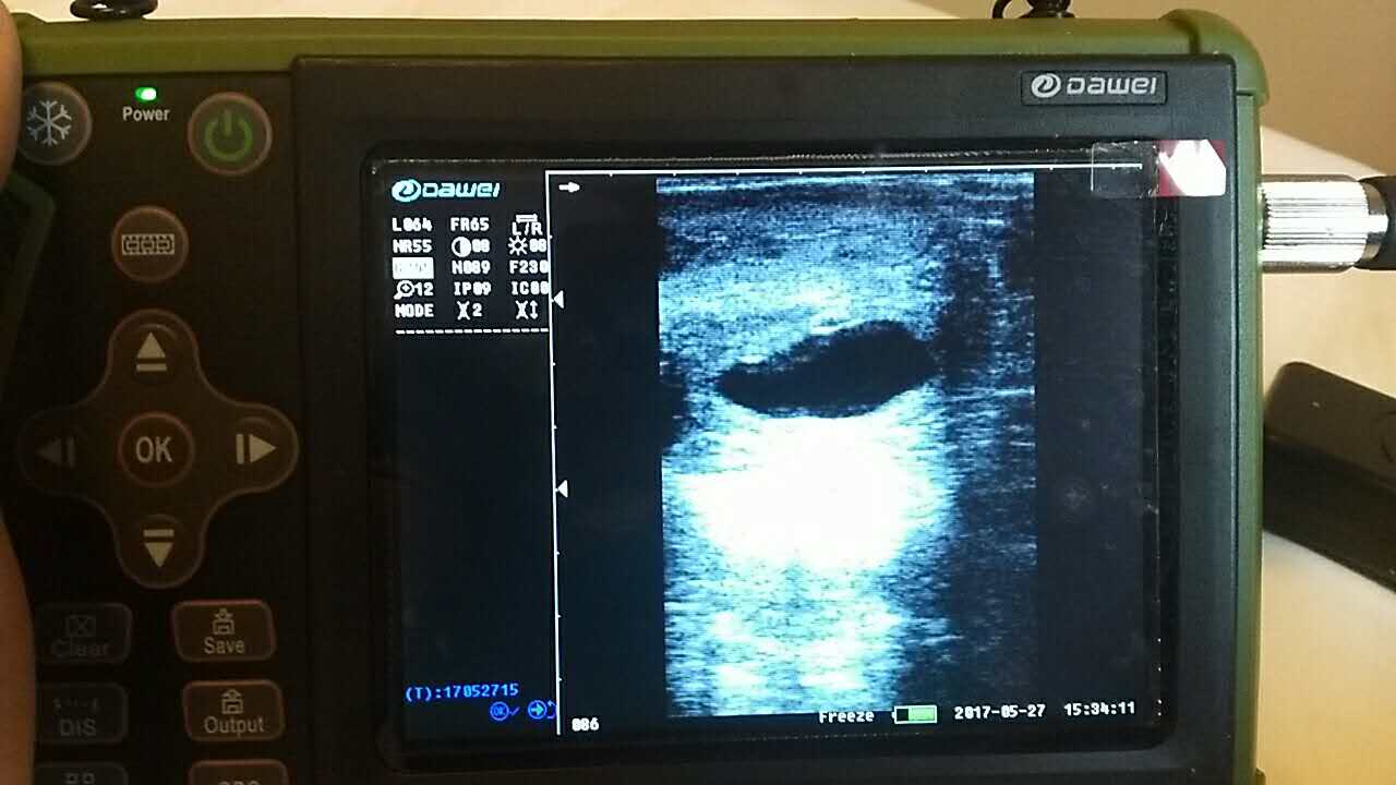 獸用B超,獸用B超機(jī),羊用B超,羊用B超機(jī),母羊做B超